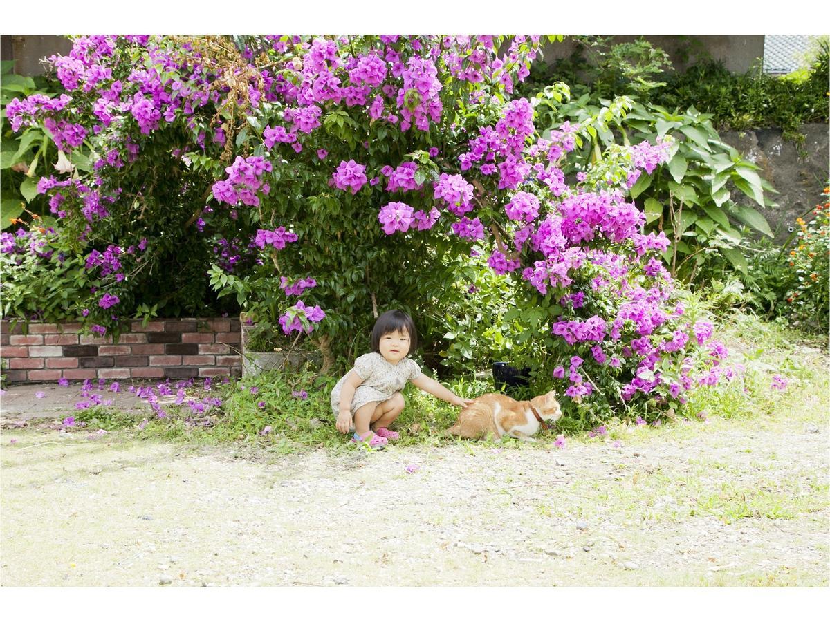 Pension Atca Tateyama  Buitenkant foto